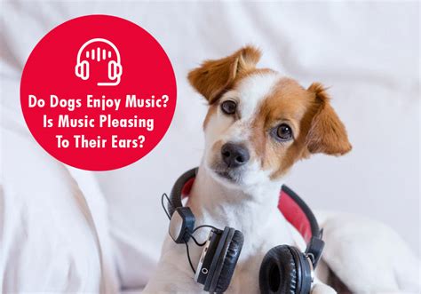 do dogs enjoy music